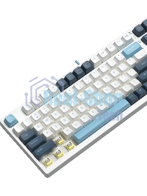 Клавиатура проводная A4Tech Fstyler FS300 (FS300 PANDA SNOWBOARDING), USB, белый/синий