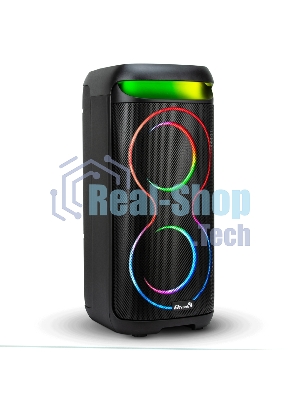 Акустическая система ELTRONIC (30-44) DANCE BOX 900 - колонка 06