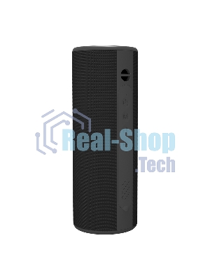 Портативная колонка Soundmax SM-PS5024B черный