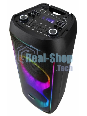 Колонка Eltronic 10