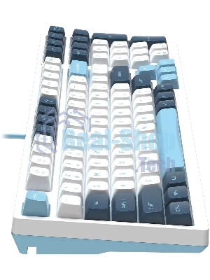 Клавиатура проводная A4Tech Fstyler FS300 (FS300 PANDA SNOWBOARDING), USB, белый/синий