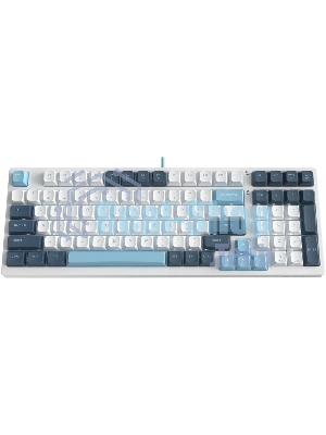 Клавиатура проводная A4Tech Fstyler FS300 (FS300 PANDA SNOWBOARDING), USB, белый/синий