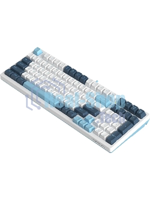 Клавиатура проводная A4Tech Fstyler FS300 (FS300 PANDA SNOWBOARDING), USB, белый/синий