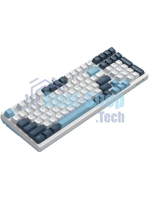 Клавиатура проводная A4Tech Fstyler FS300 (FS300 PANDA SNOWBOARDING), USB, белый/синий
