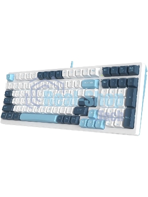 Клавиатура проводная A4Tech Fstyler FS300 (FS300 PANDA SNOWBOARDING), USB, белый/синий