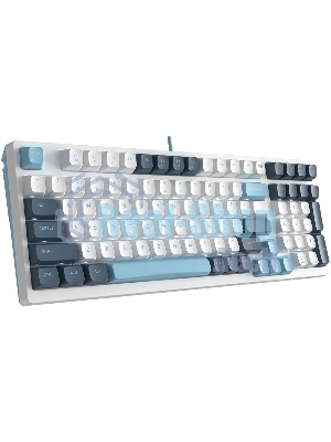 Клавиатура проводная A4Tech Fstyler FS300 (FS300 PANDA SNOWBOARDING), USB, белый/синий