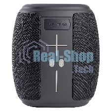 Портативная колонка Smartbuy MUSE 2 черный
