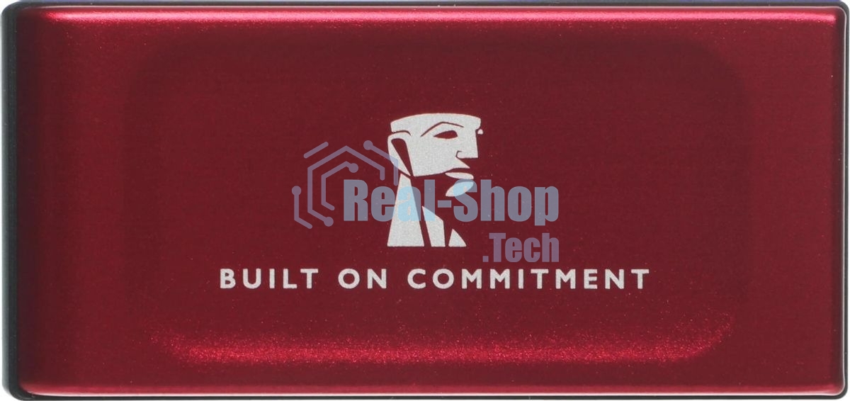 Внешний SSD Kingston XS1000, 1TB, USB 3.2 Gen 2 Type-C, R/W 1050/1000, красный