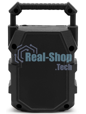 Колонка портативная Hyundai H-PS1000 черный 9 Вт 1.0 BT/USB 10м 500mAh