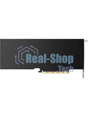 Видеокарта Nvidia RTX 5000 Ada Generation, 1 year
