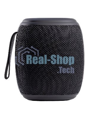 Портативная колонка Smartbuy MUSE 2 черный
