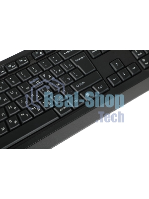 Клавиатура проводная A4Tech Fstyler FKS10, USB, черный/серый