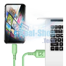 Кабель Defender F207, USB 2.0 (AM) - Type-C, 1 м, 2.4А, силиконовая оплетка, зеленый.