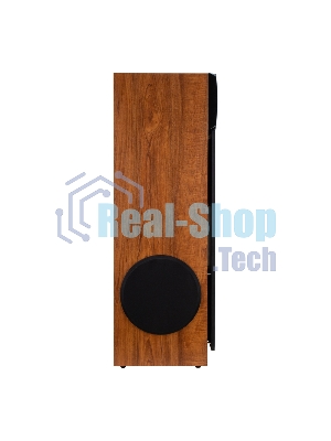 Акустическая система ELTRONIC (30-58) HOME SOUND - колонка 10