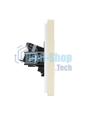 Розетка компьютерная IEK FORTE&PIANO FP434 2-ая RJ45 кат.6 ваниль