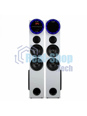 Колонка Eltronic 10