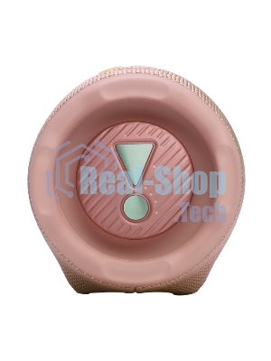Портативная акустика JBLCHARGE6PINK розовый
