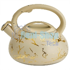 Чайник ALPENKOK AK-541 3 л