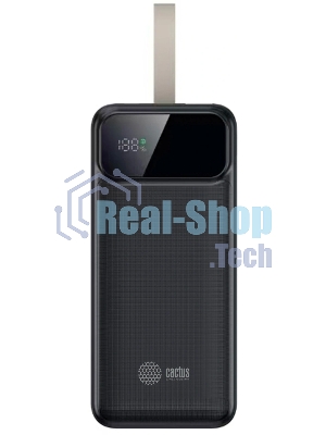 Портативный аккумулятор Cactus CS-PBFSND-40000 40000mAh 65W 3A черный