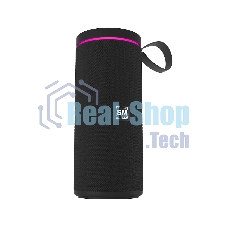 Портативная колонка SOUNDMAX SM-PS5015B черный