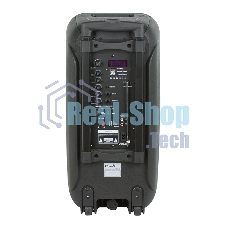 Колонка Eltronic 08