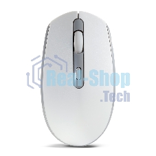 Мышь беспроводная Smartbuy (SBM-280AG-WG) ONE 280AG белый/серый