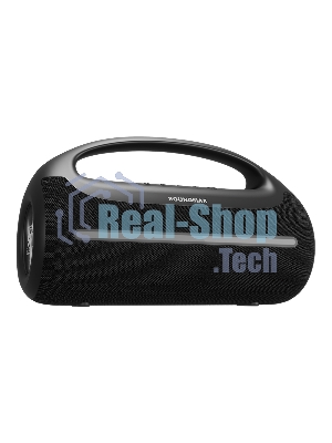 Портативная колонка Soundmax SM-PS5032B черный
