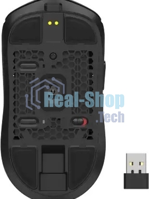Мышь A4Tech Bloody SG5 SE черный оптическая 30000dpi беспров. USB/USB-C
