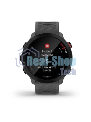 Умные часы Garmin Forerunner 55, 1.04