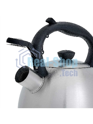 Чайник для плиты со свистком WEBBER BE-0578 2 л