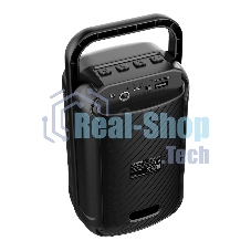 Портативная колонка Soundmax SM-PS5041B чёрный
