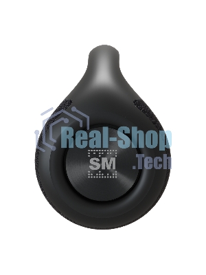 Портативная колонка Soundmax SM-PS5032B черный
