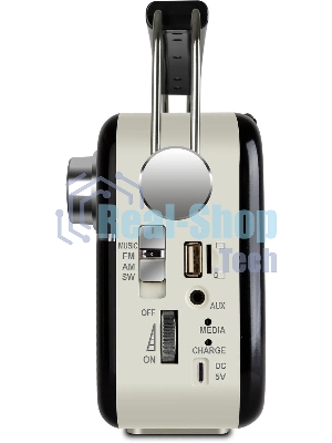 Радиоприемник SVEN SRP-505 (4 Вт, FM/AM/SW, USB, SD/microSD, Bluetooth, 1200 мА·ч)черный