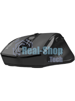 Мышь A4Tech Fstyler FG55S Plus серый оптическая 1200dpi silent беспров. USB