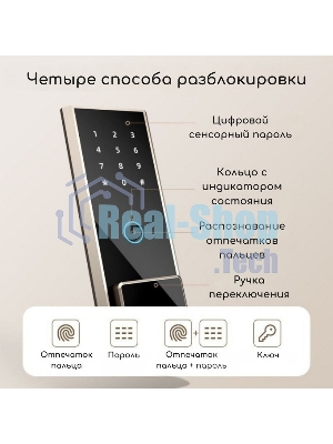 Сейф Deli ET597 800x480x420 мм, электронный/ключевой/биометрический, черный