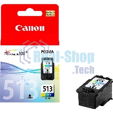 Картридж струйный Canon CL-513IJ CART EMB многоцветный (349 стр) для Canon PIXMA MP230/iP2700/iP2702/MP240/MP250/MP252/MP260/MP270/MP272/MP280