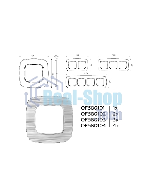 Рамка OMEGA Radian (Серебро Металл шлифованный) 1-ая OF580101
