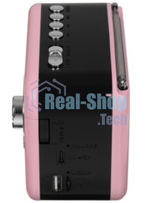 Радиоприемник Ritmix RPR-033 PINK
