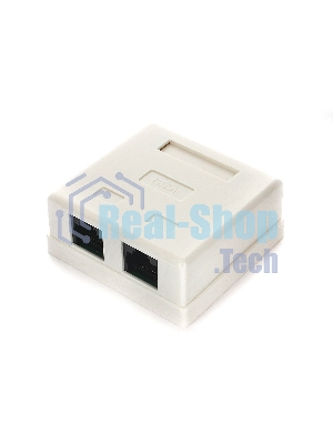 Розетка GEMBIRD NA214 RJ-45 кат.5e внешняя 2 порта, 110/Krone