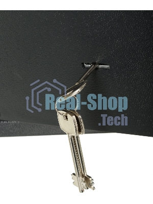 Сейф мебельный Cactus CS-SF-K18 170x260x230 мм ключевой