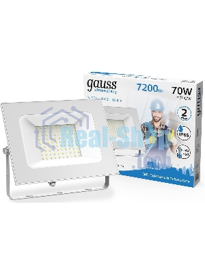 Прожектор светодиодный Gauss LED 70W 4900lm IP65 6500К белый