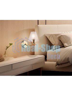 Настенный светильник Ambrella light LH57095 BS/FR латунь/белый матовый E14 max 40W 230*140*200