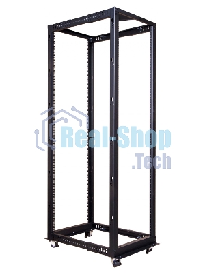 Стойка двухрамная Lanmaster TWT-RACK2-42U-ADJ 42U 480ммX560мм 1000кг черный