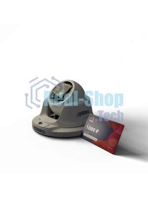 Cloud Outdoor Sphere (D) - Комплект TR-D2S5 v3 2.8 (D) + 6 месяцев записи архива в облако.
