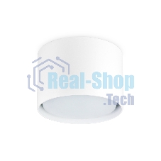 Светильник Ambrella light TN5301 WH белый GX53 D84*60