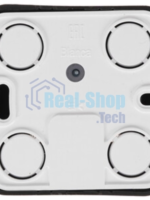 Розетка компьютерная 2-ая компьютерная RJ45, кат.5E, изол. пластина SE Blanca наруж Антрацит