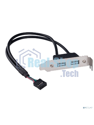 Планка USB 2.0 на заднюю панель низкопрофильная Cablexpert CCUSBRECEPTACLE-LP, 2 порта USB