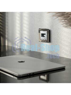 Накладка для двойной розетки Еthernet RJ-45 (серебряный)