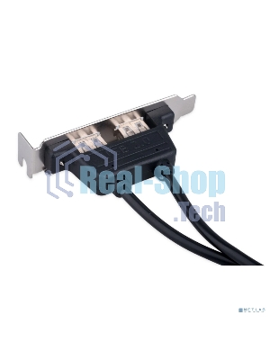 Планка USB 2.0 на заднюю панель низкопрофильная Cablexpert CCUSBRECEPTACLE-LP, 2 порта USB