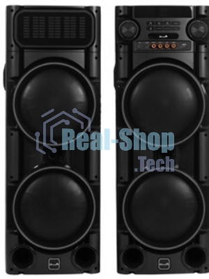 Колонка Eltronic 08